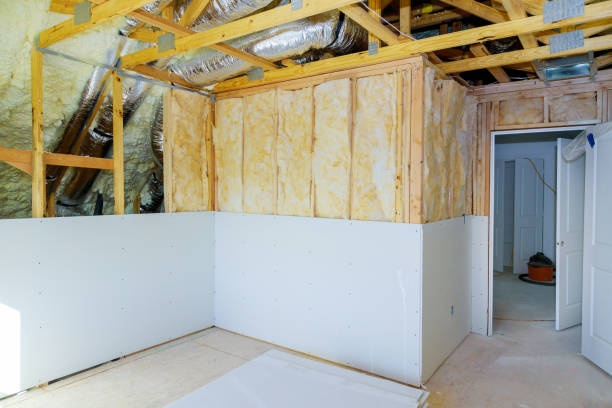 Best Residential Insulation in Montrose, CO