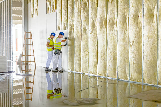 Best Residential Insulation in Montrose, CO